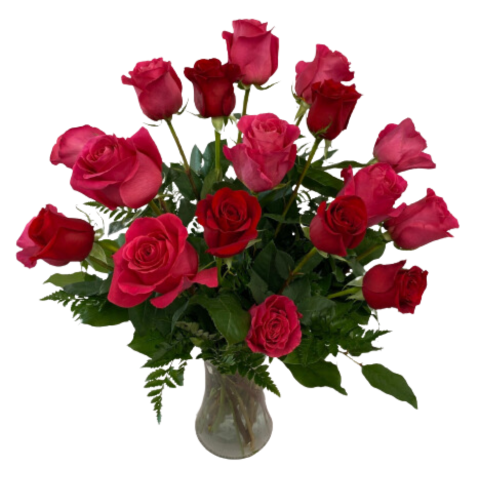 My Valentine Roses