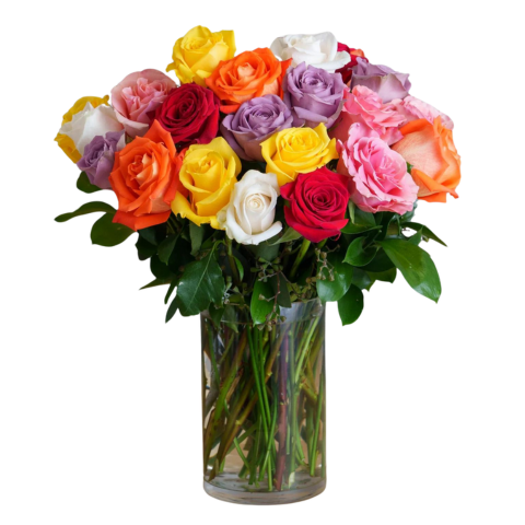 24 Premium Mixed Colour Roses