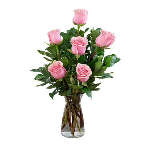 6 Pink Roses