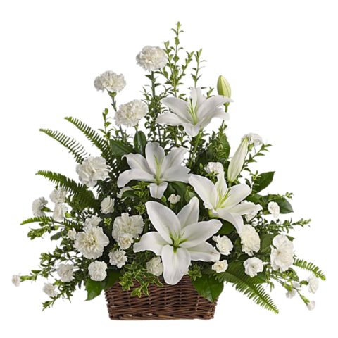 Peaceful white Lilies