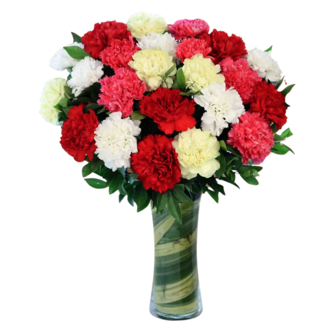 Two Dozen Colorful Carnations