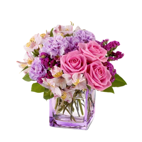 Lavender Love