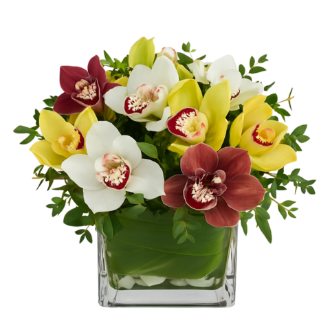 ADORABLE ORCHIDS