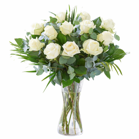 12 White Roses