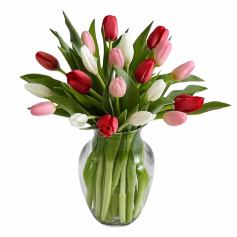 20 mixed tulips