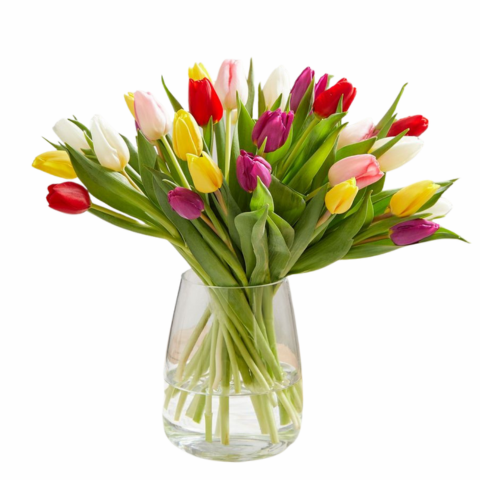 30 Mixed Tulips