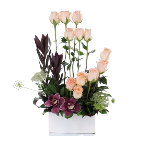 Contemporary Pick your Colour Roses