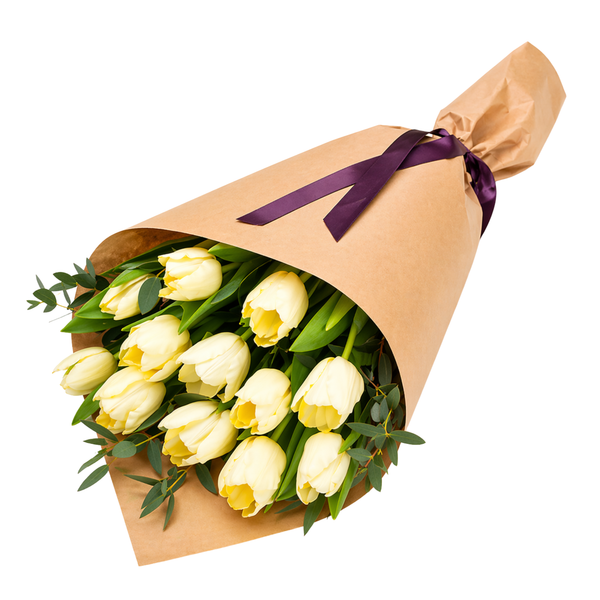 15 WHITE TULIPS