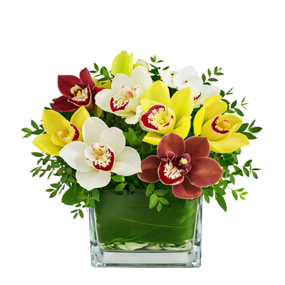 ADORABLE ORCHIDS