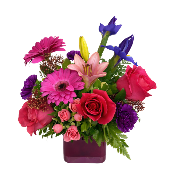 Shades of Purple Vibrancy