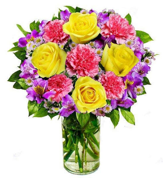 Petals and Blooms